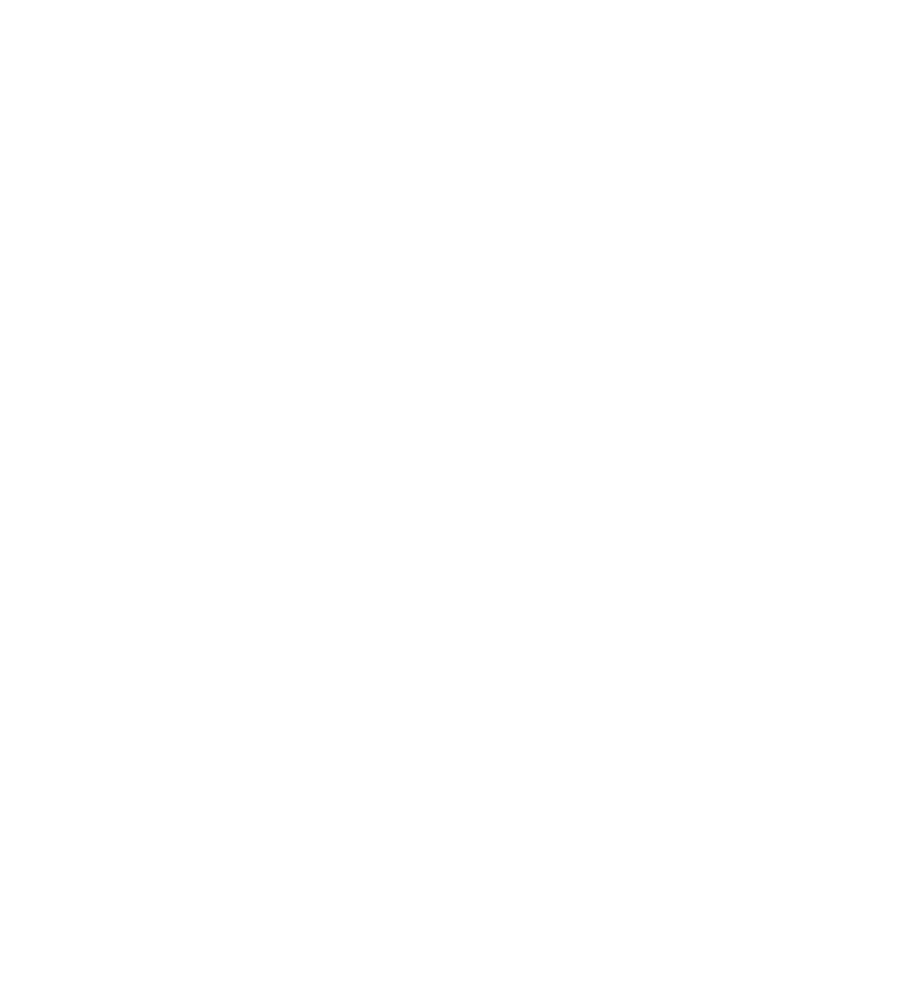 Protexion logo